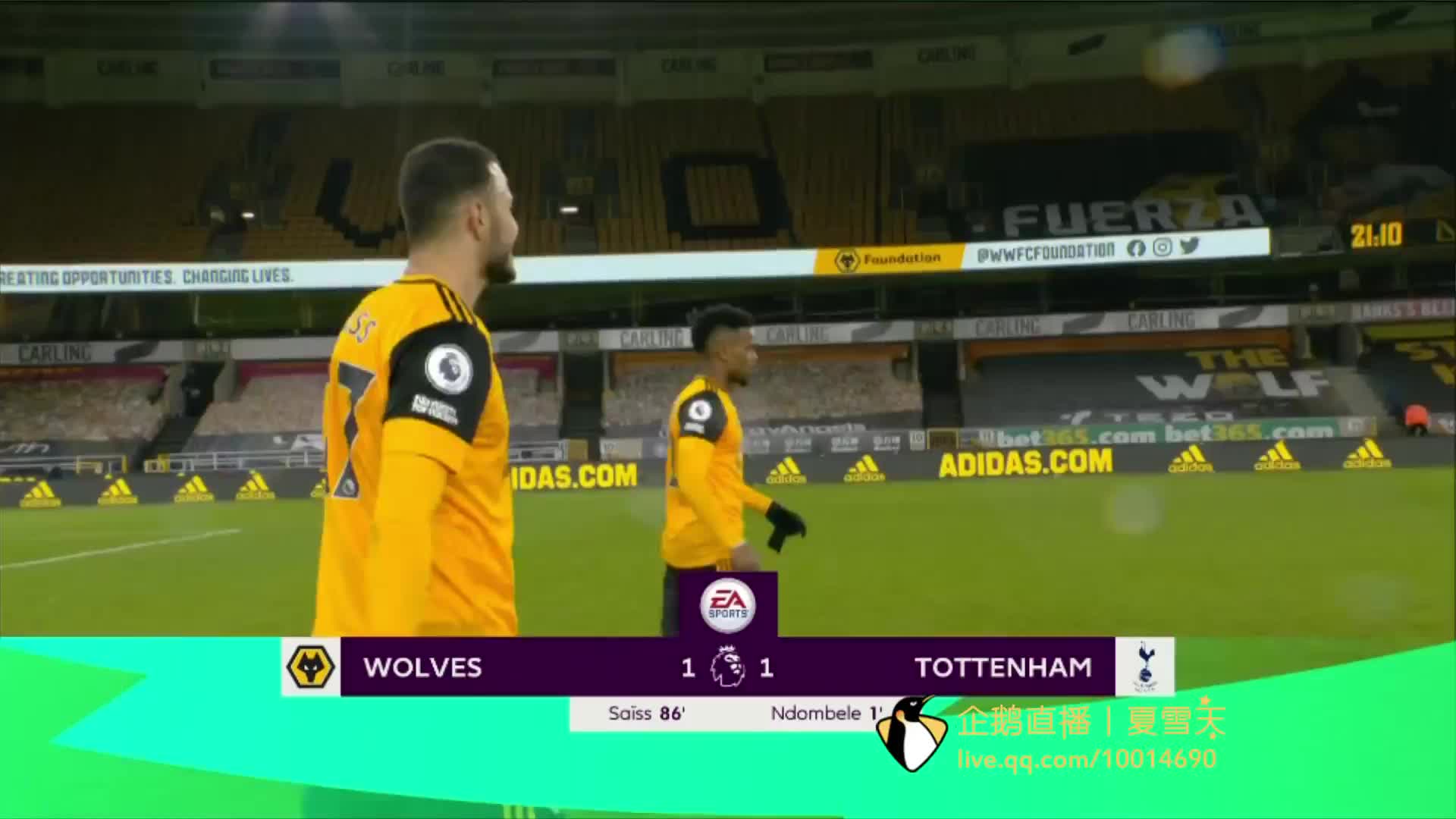 的两名新秀 的两名新秀